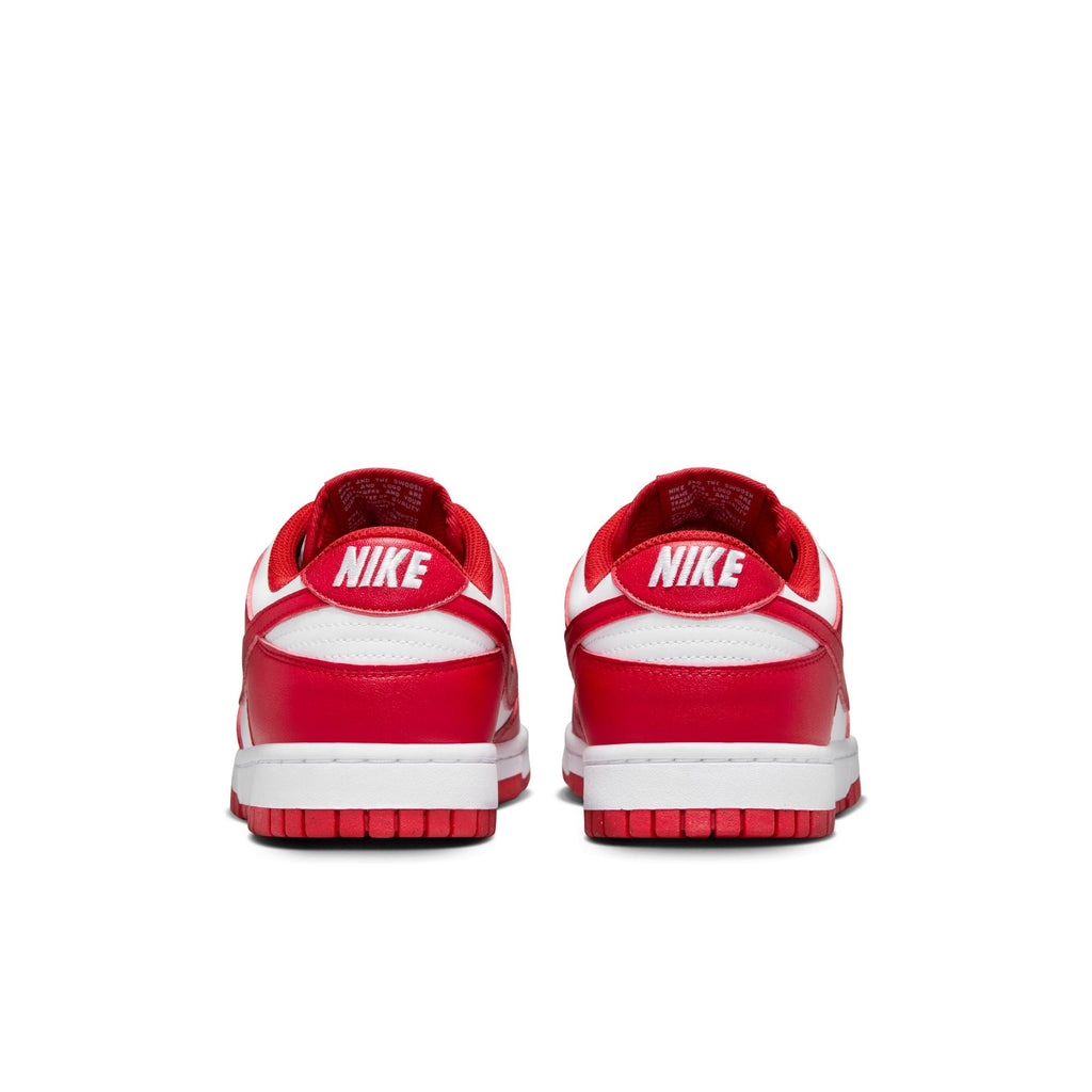Nike Dunk Low Next Nature DD1873-116