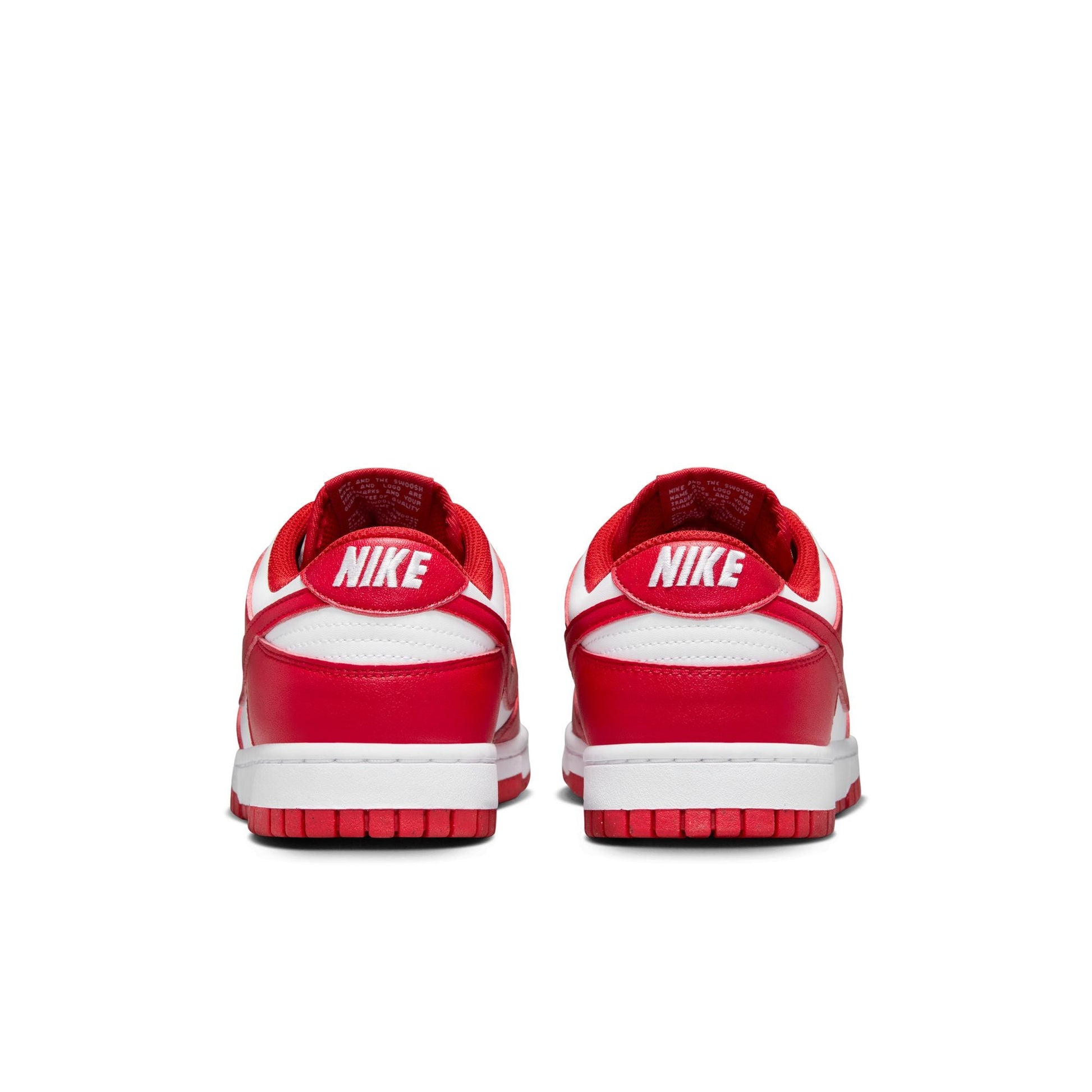 Nike Dunk Low Next Nature DD1873-116