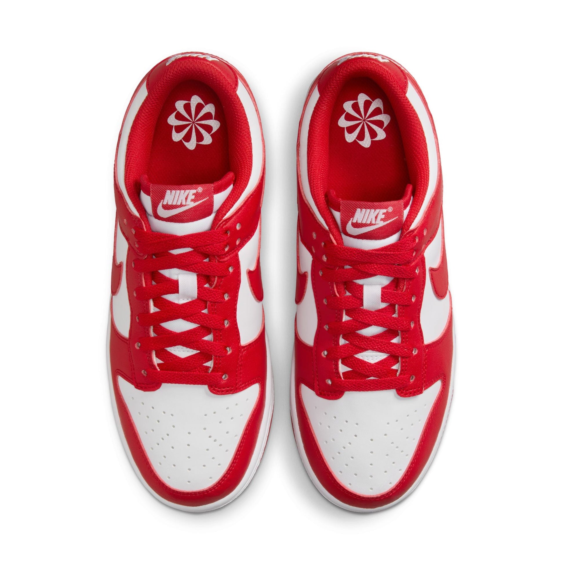 Nike Dunk Low Next Nature DD1873-116