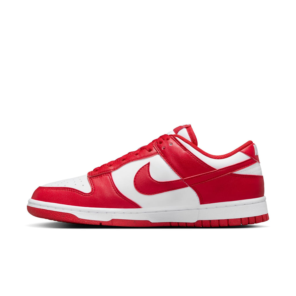 Nike Dunk Low Next Nature DD1873-116