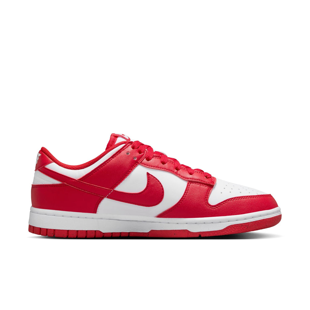 Nike Dunk Low Next Nature DD1873-116