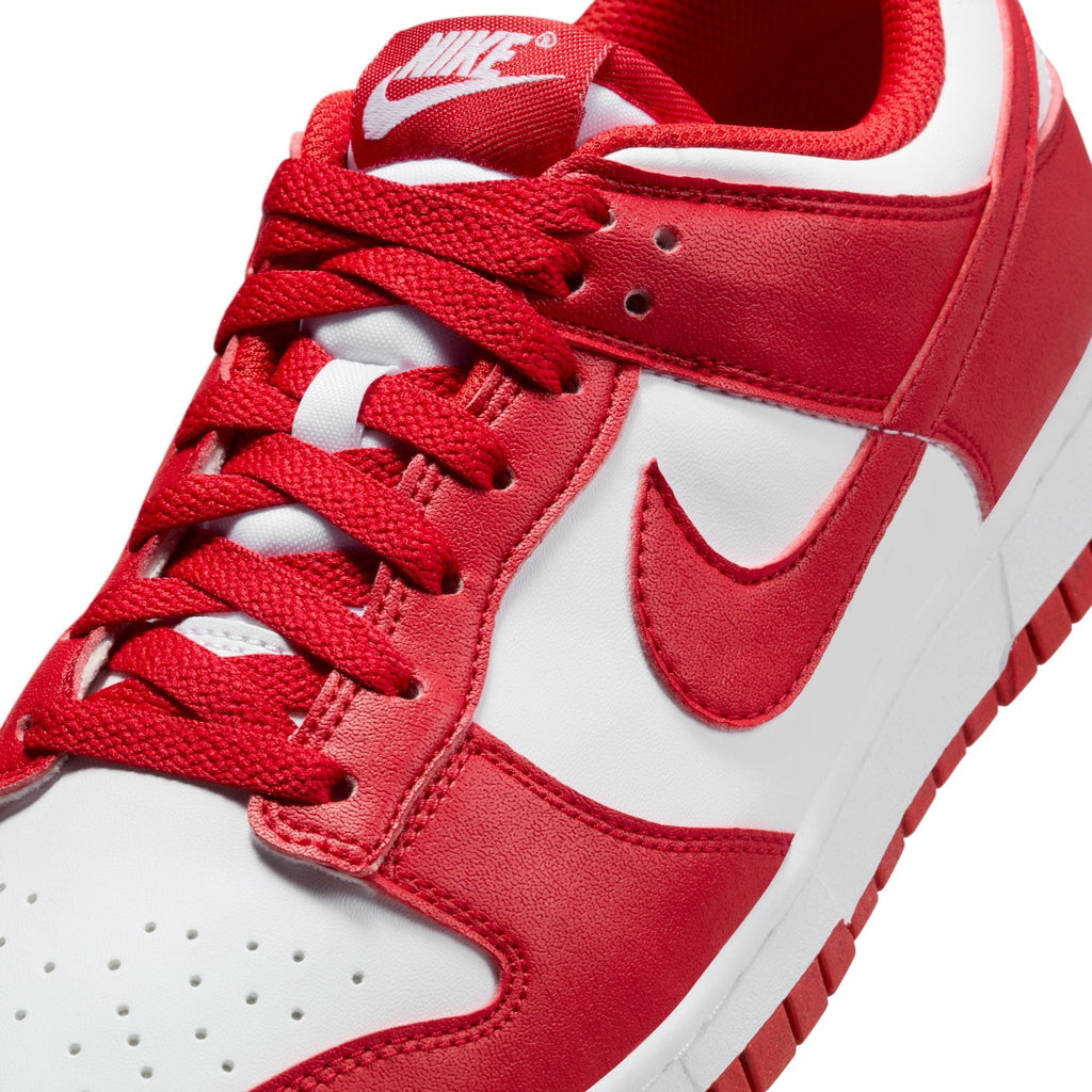 Nike Dunk Low Next Nature DD1873-116