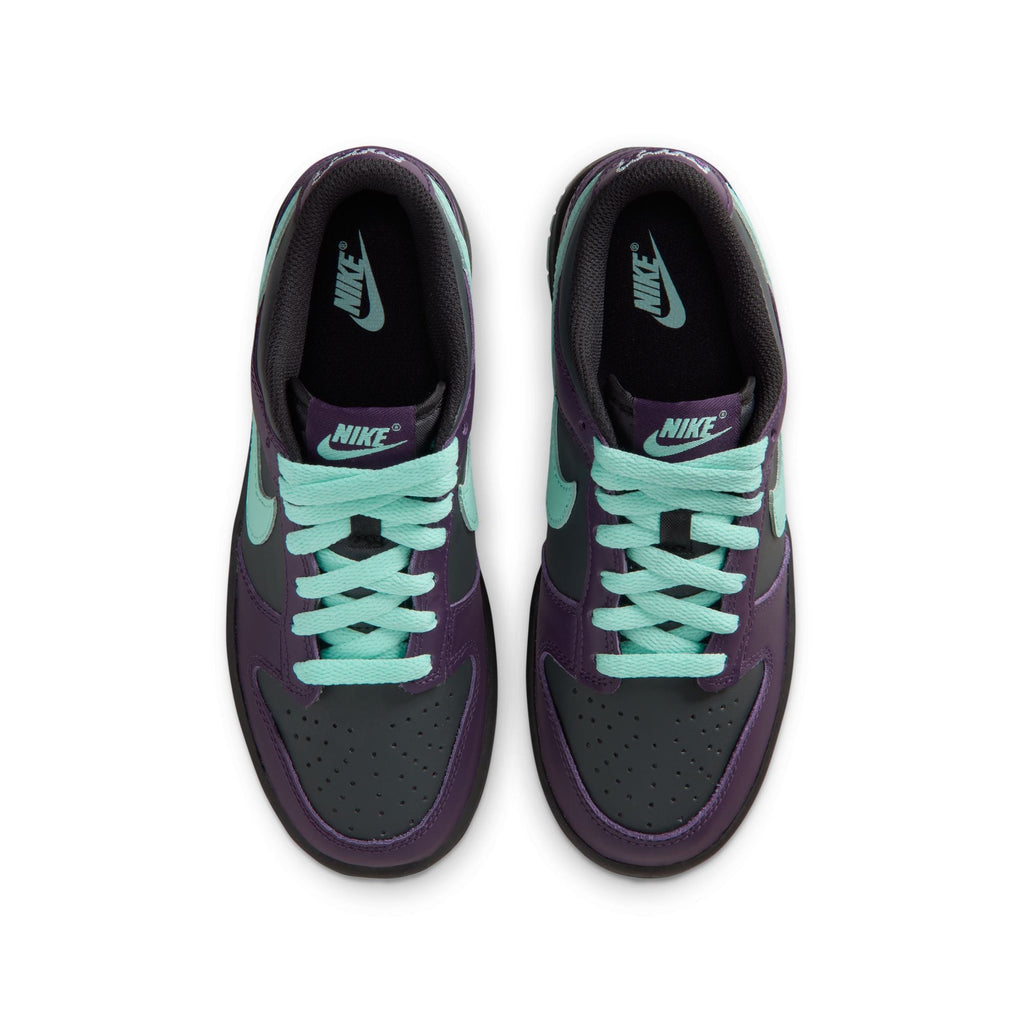 Nike Dunk Low FB9109-013