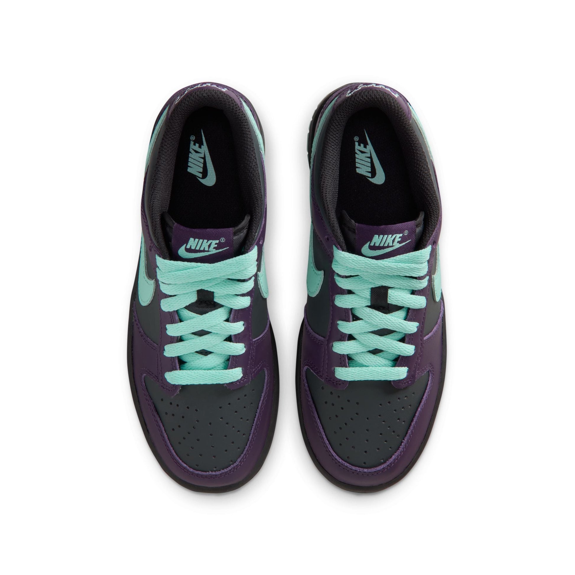 Nike Dunk Low FB9109-013