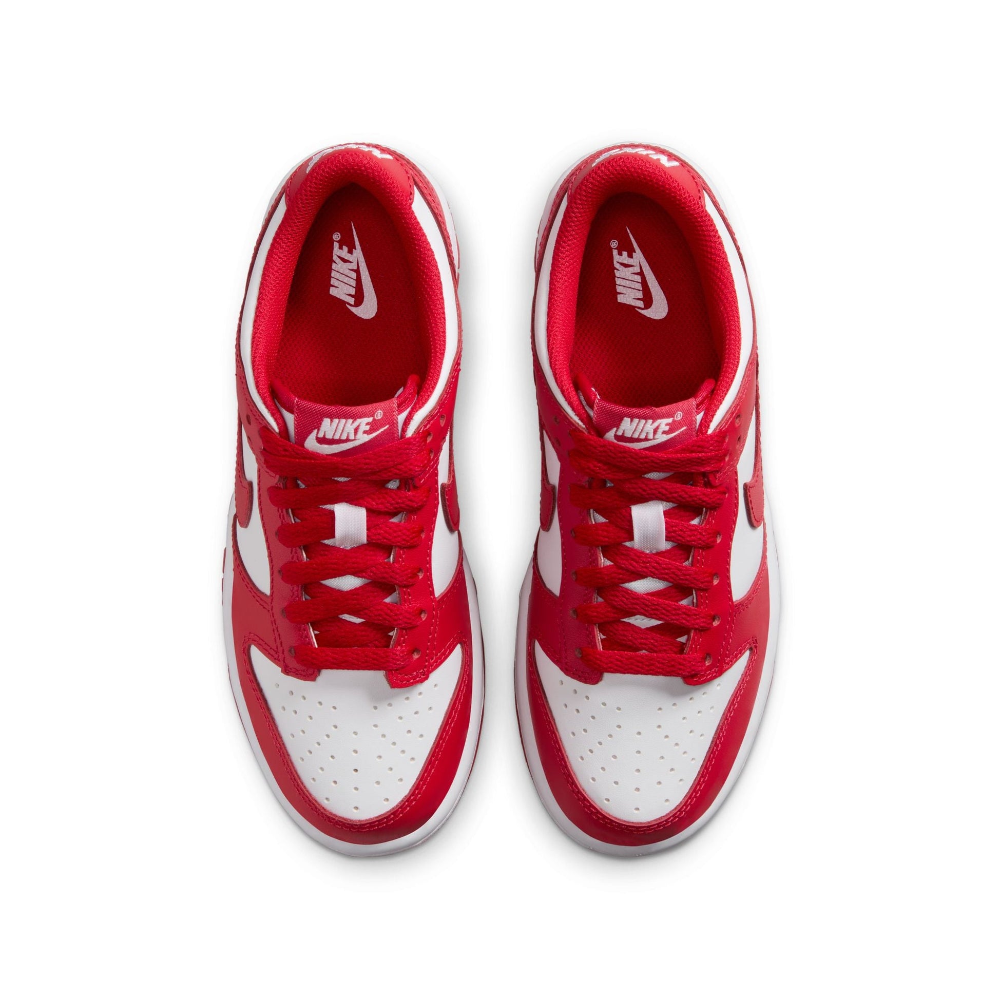 Nike Dunk Low FB9109-119