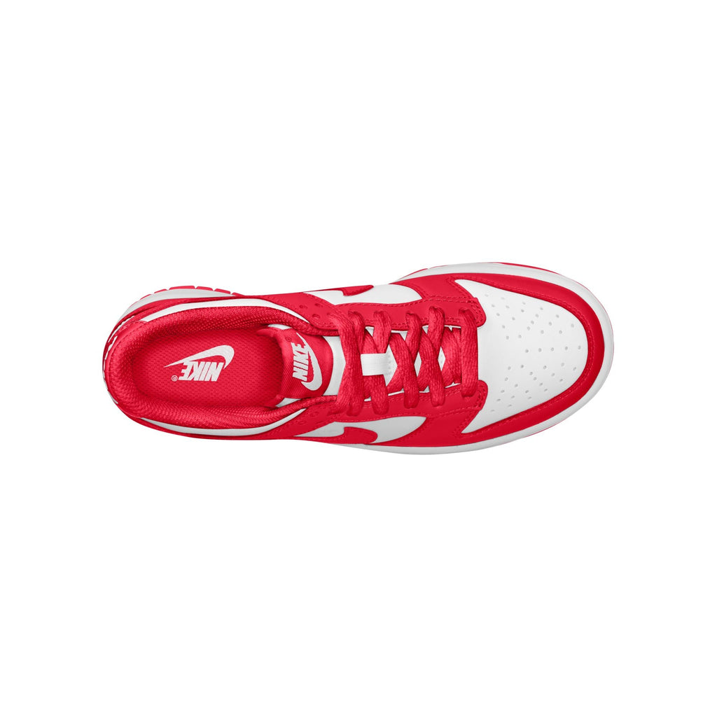 Nike Dunk Low FB9109-119