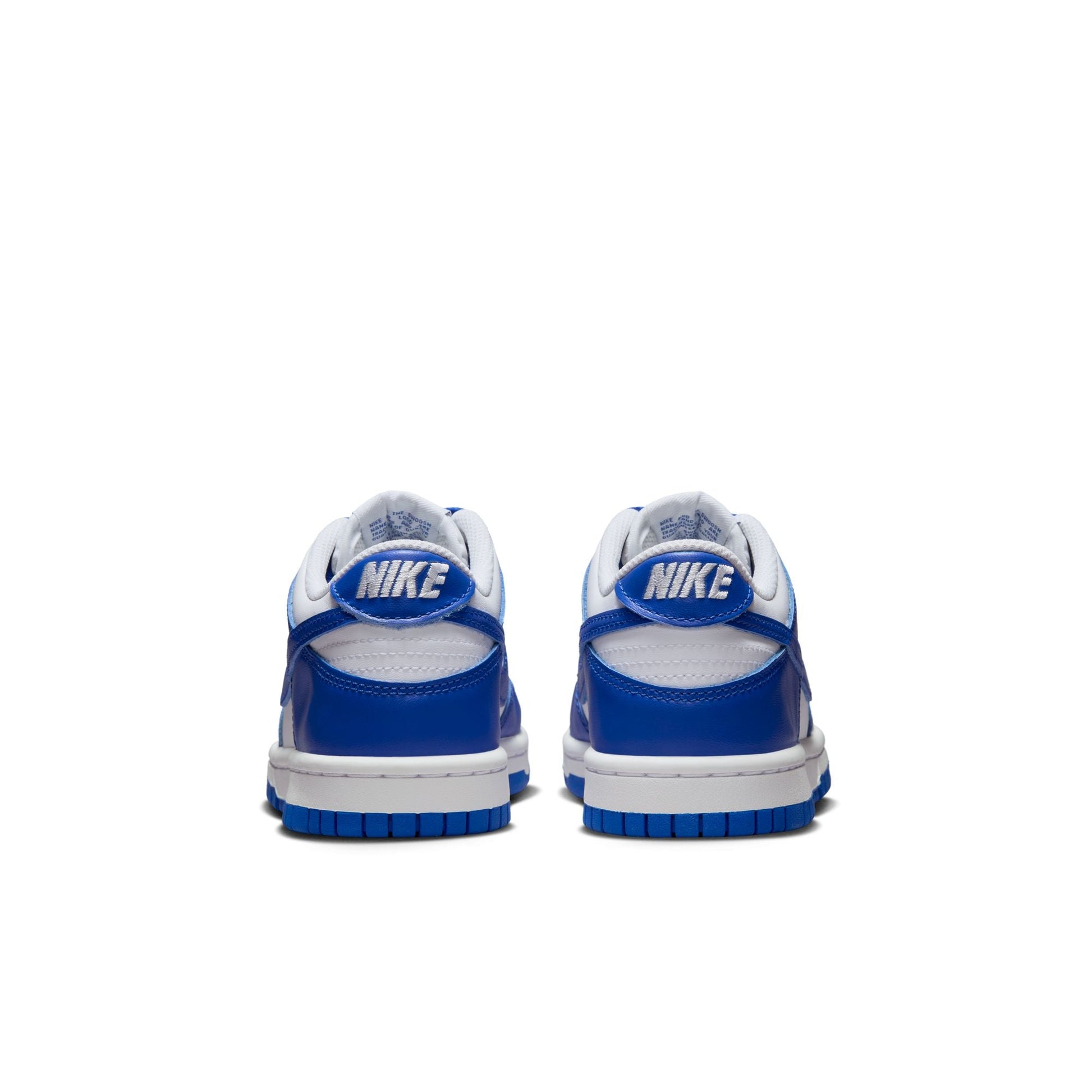 NIKE DUNK LOW FB9109-131