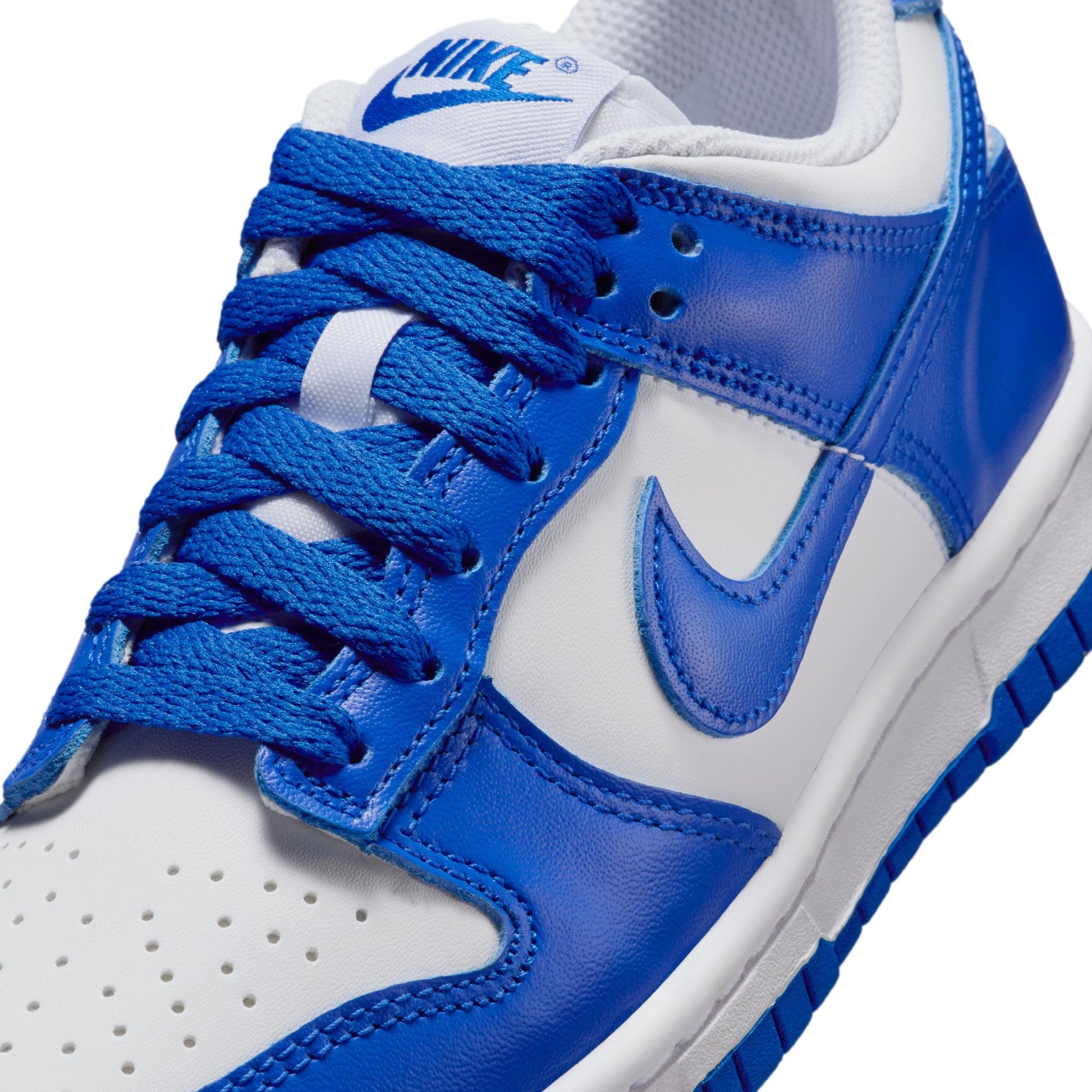NIKE DUNK LOW FB9109-131