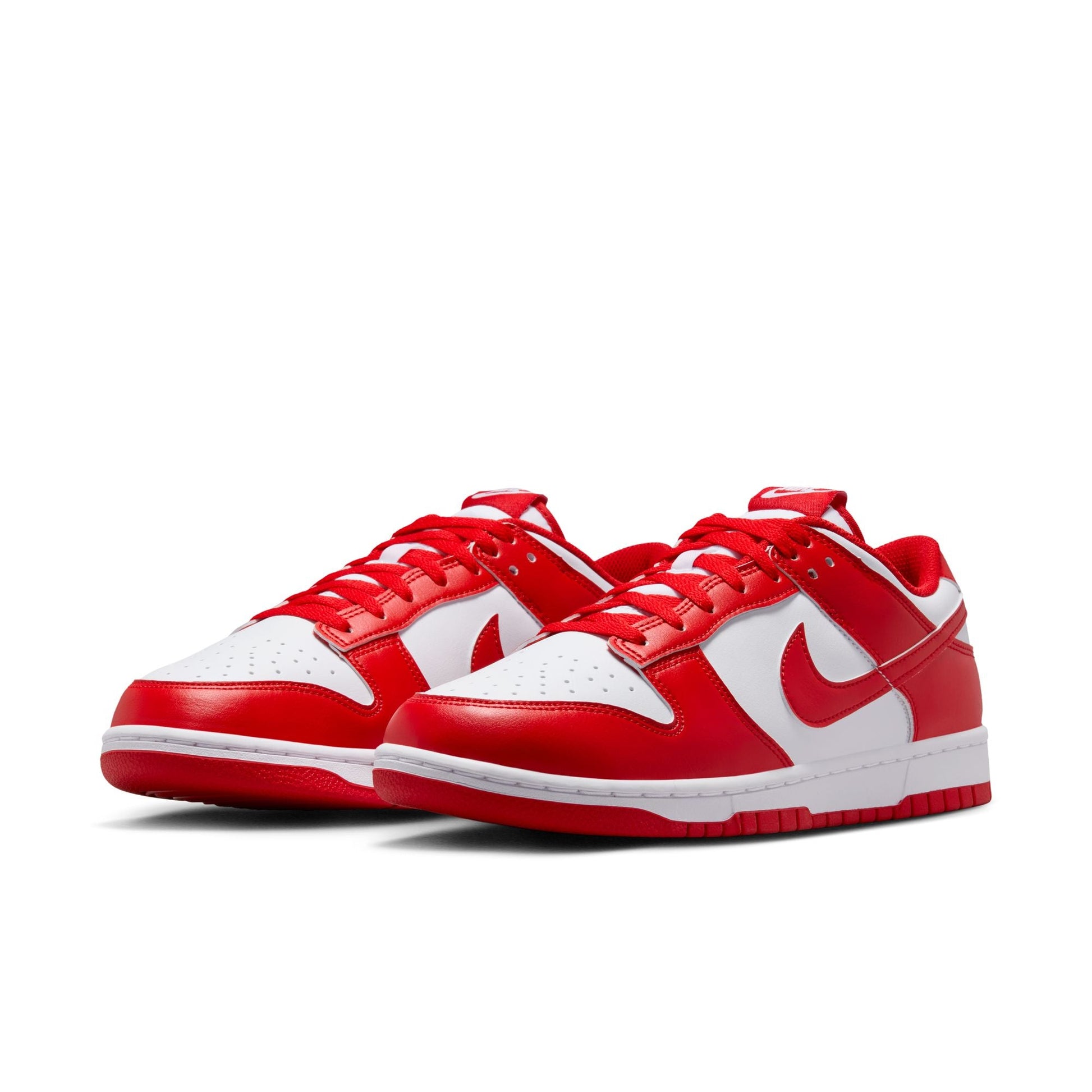 Nike Dunk Low Retro HF5441-104