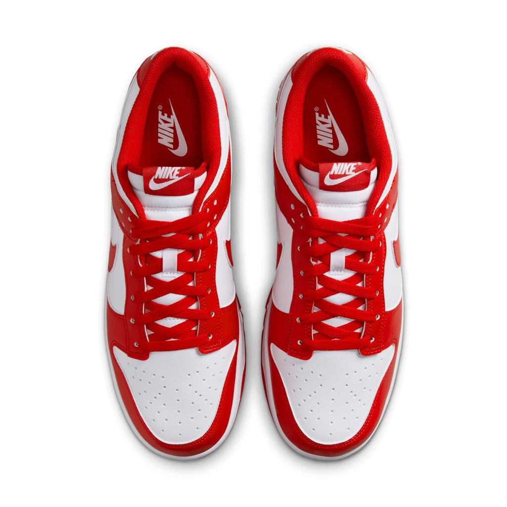 Nike Dunk Low Retro HF5441-104