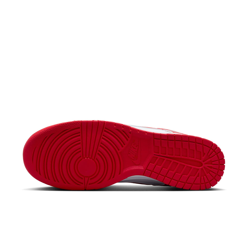 Nike Dunk Low Retro HF5441-104