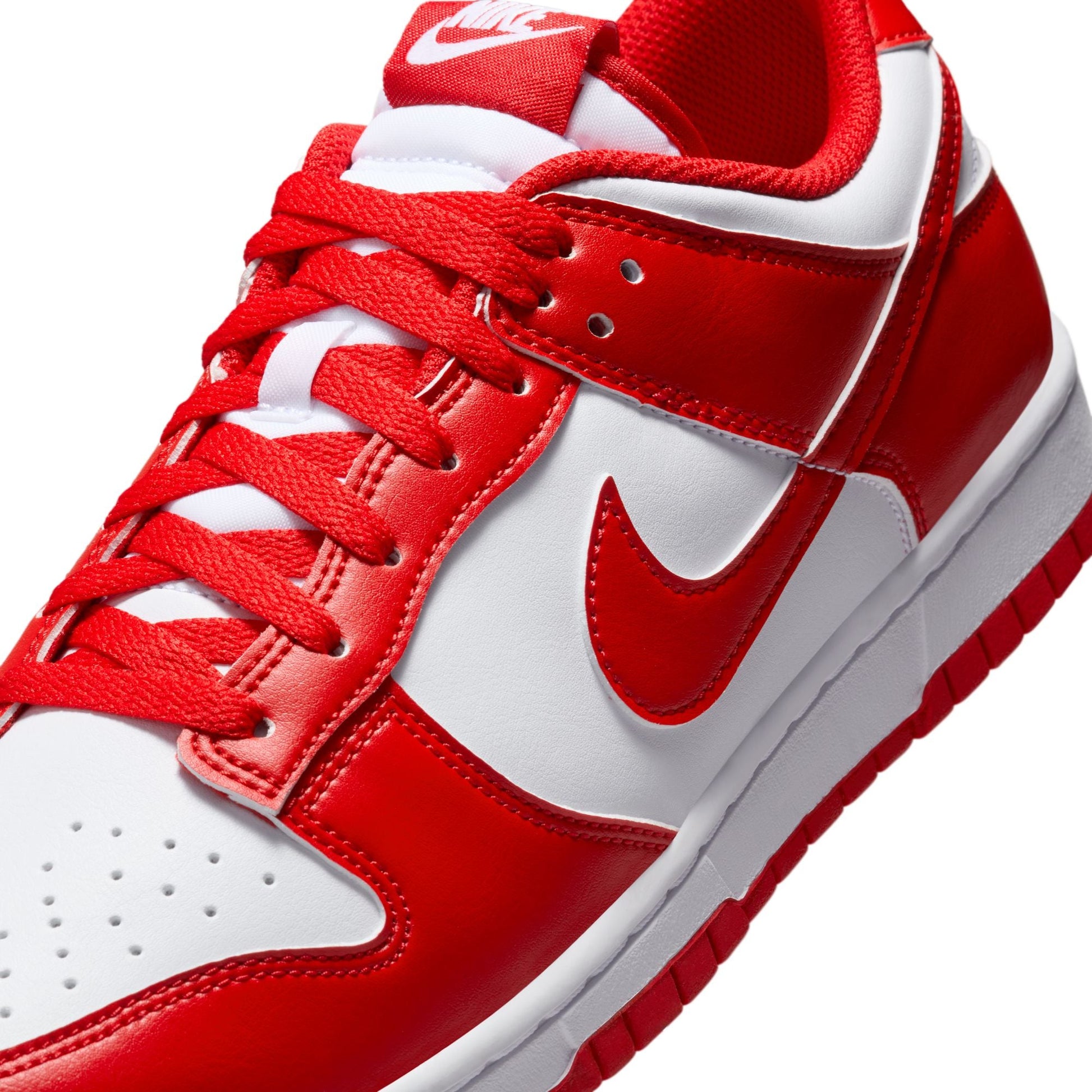 Nike Dunk Low Retro HF5441-104