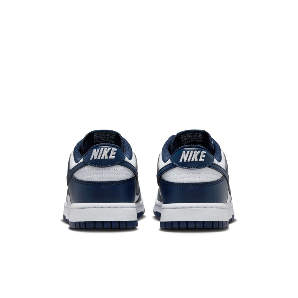 Nike Dunk Low Retro HF5441-107