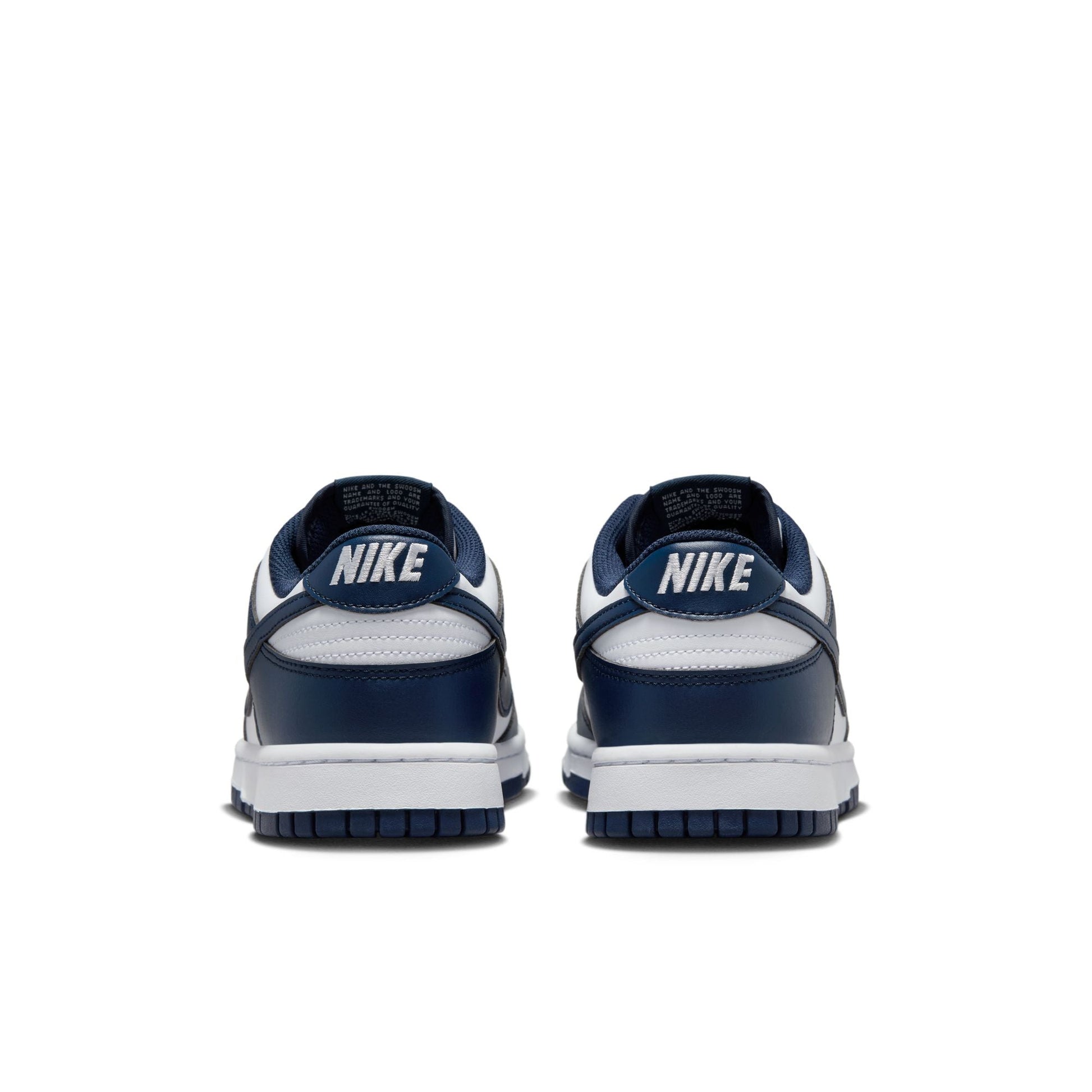 Nike Dunk Low Retro HF5441-107
