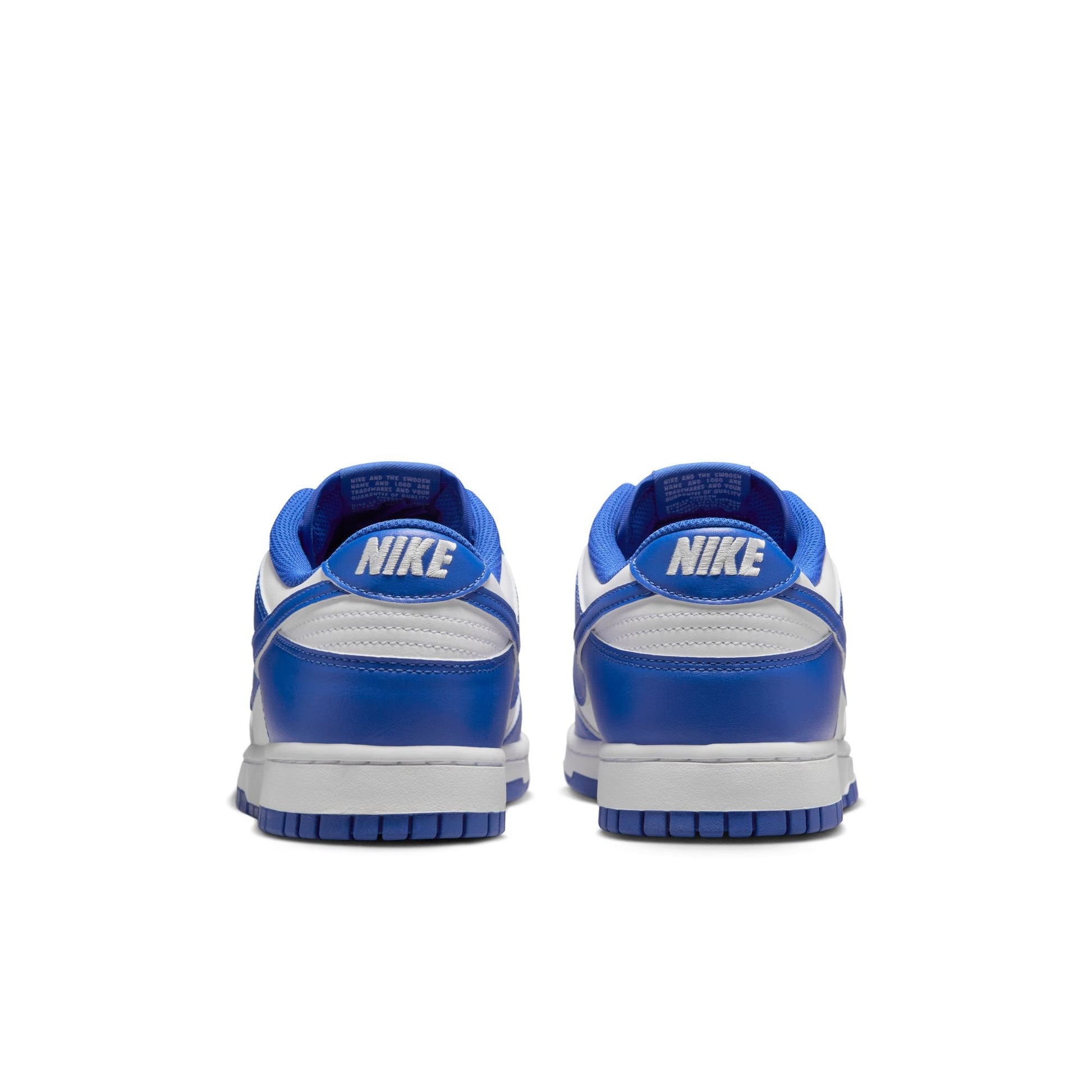 Nike Dunk Low Retro HF5441-112