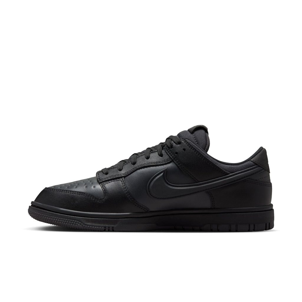Nike Dunk Low GORE-TEX HQ2053-001