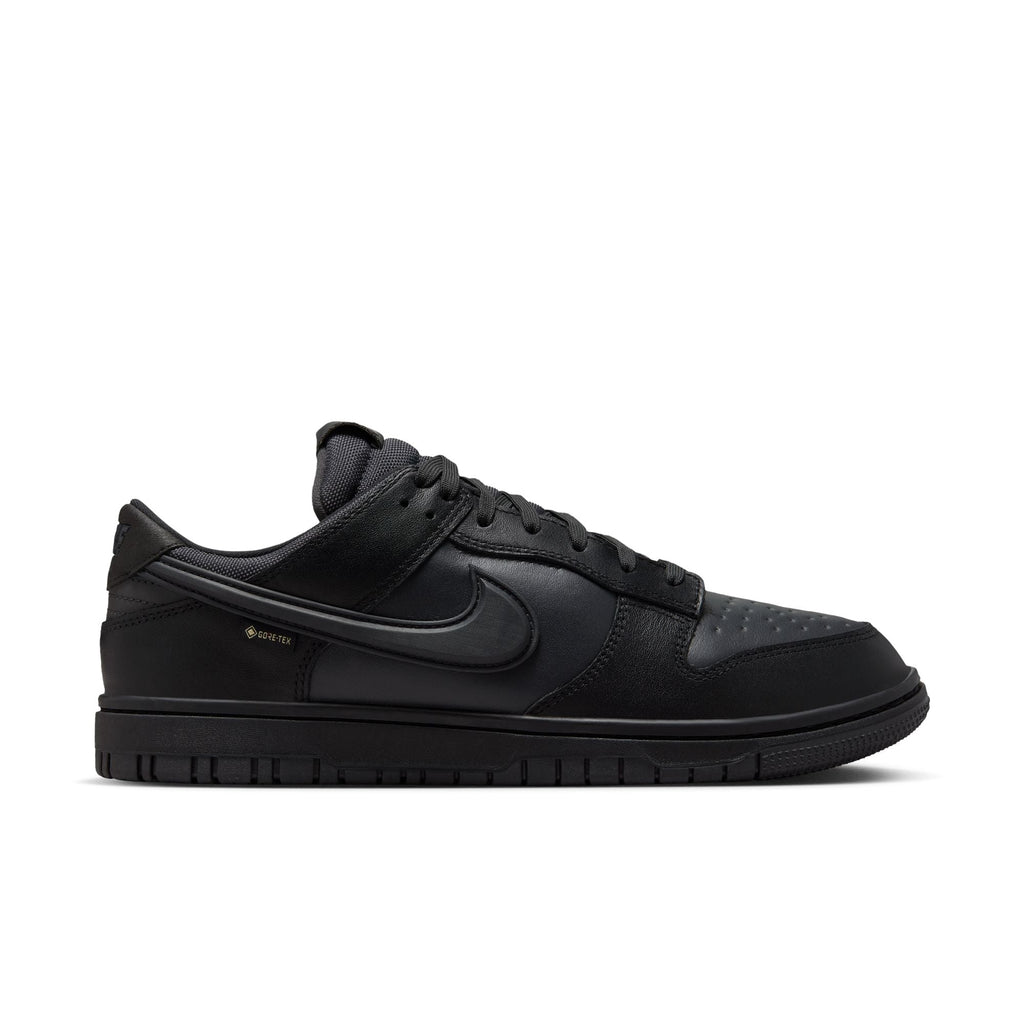 Nike Dunk Low GORE-TEX HQ2053-001