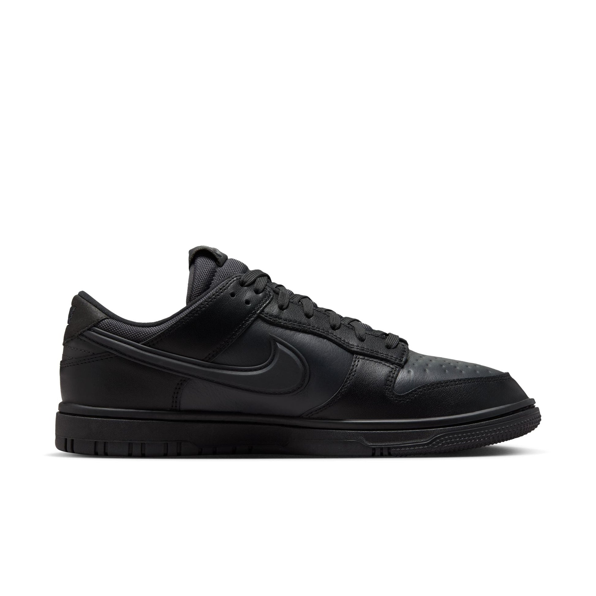 Nike Dunk Low GORE-TEX HQ2053-001