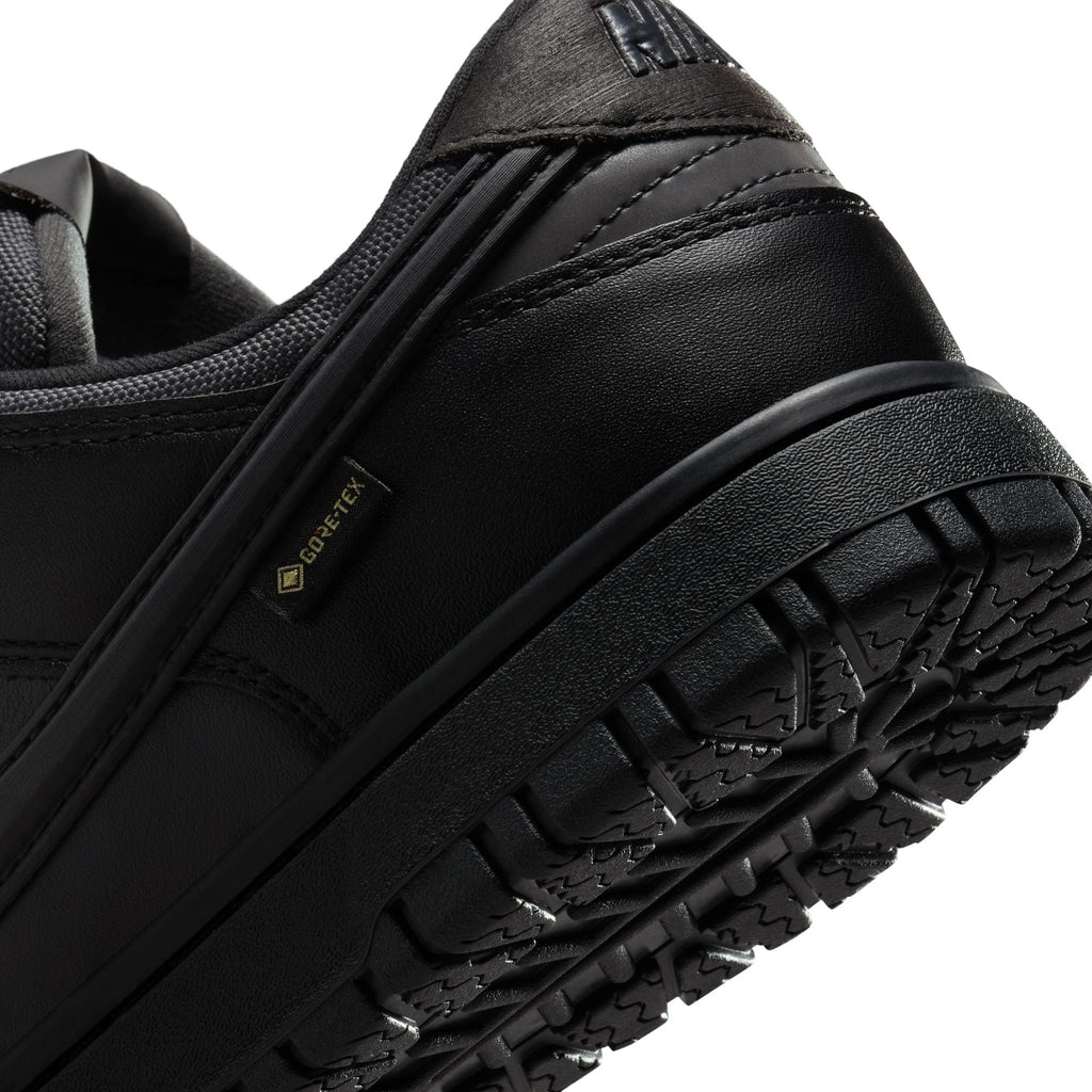 Nike Dunk Low GORE-TEX HQ2053-001