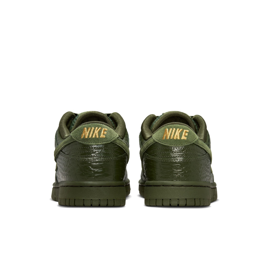 Nike Dunk Low HV4388-300