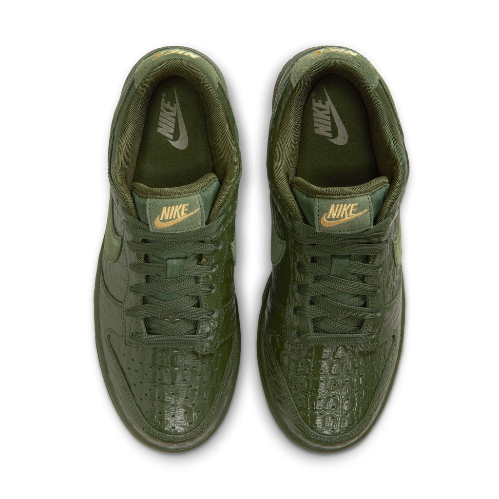 Nike Dunk Low HV4388-300