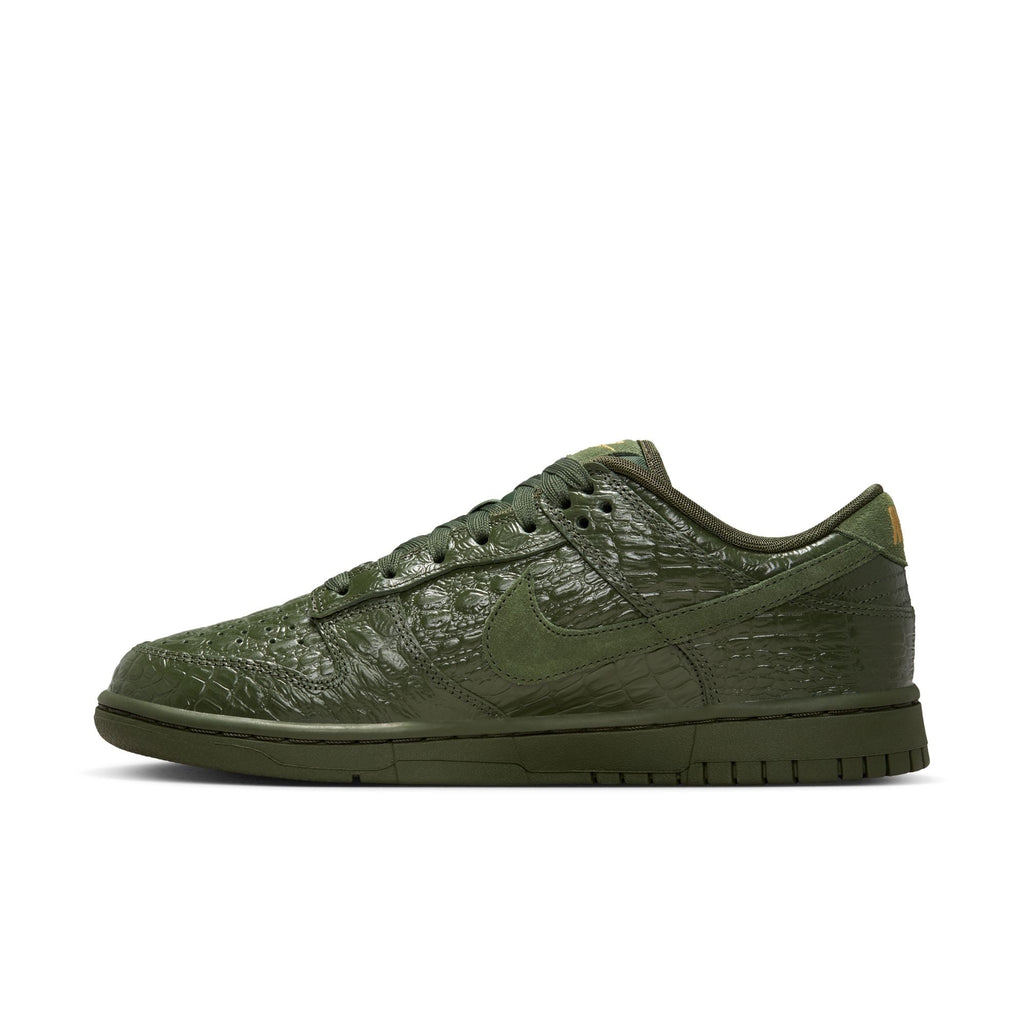 Nike Dunk Low HV4388-300