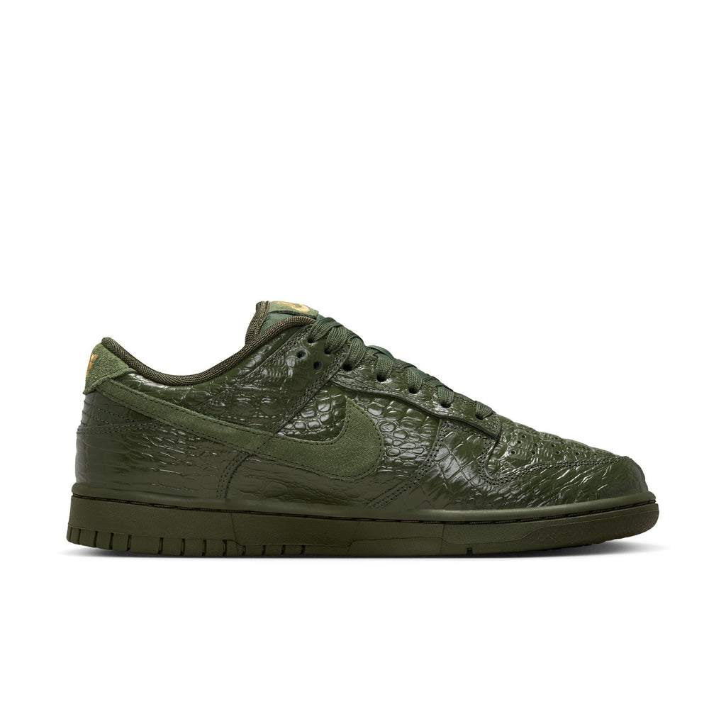 Nike Dunk Low HV4388-300