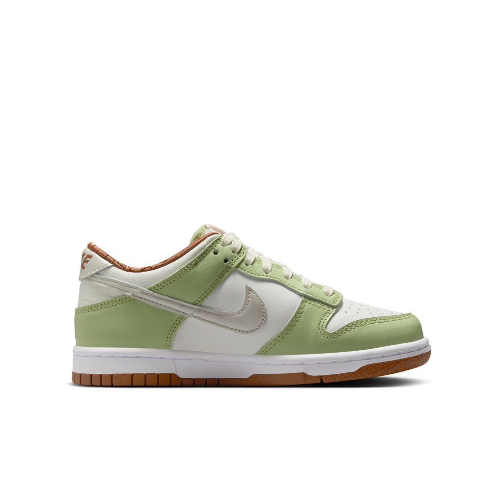 Nike Dunk Low HV6001-101
