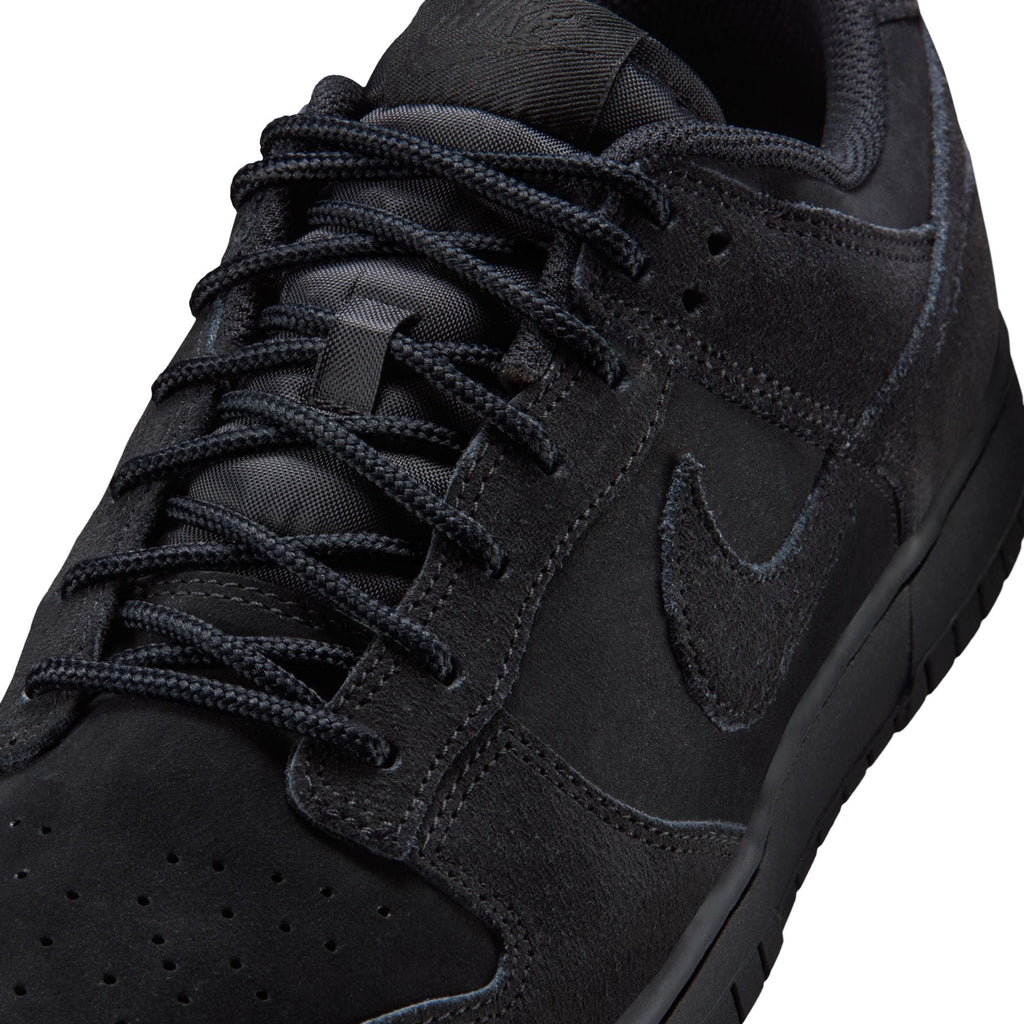 Nike Dunk Low Retro SE IB6651-001