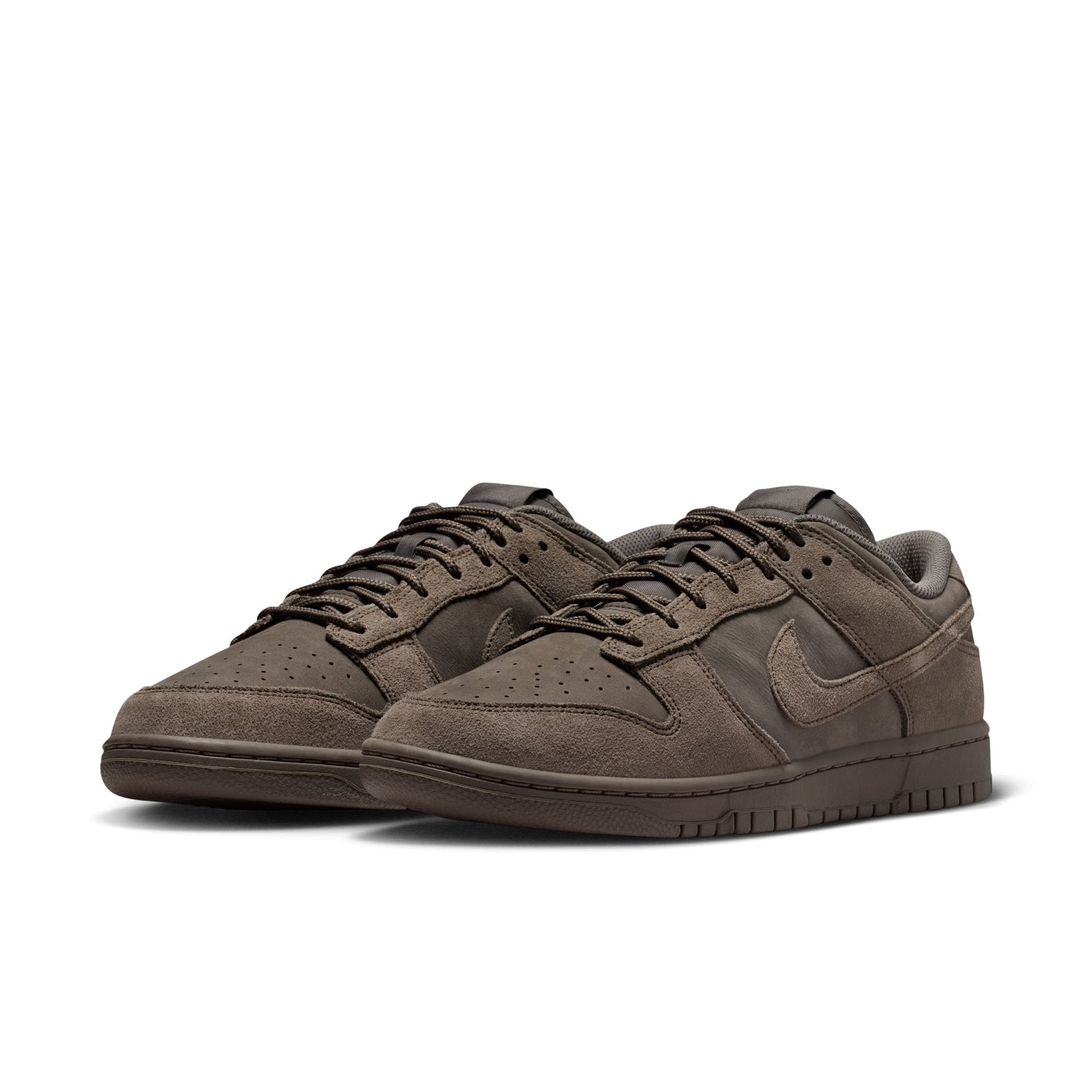Nike Dunk Low Retro SE IB6651-200