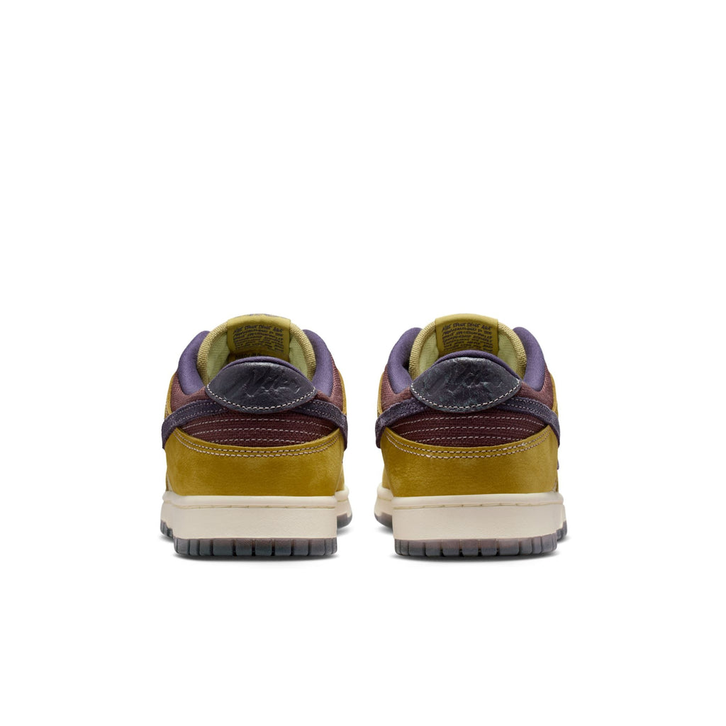Nike Dunk Low Retro SE IB6752-700