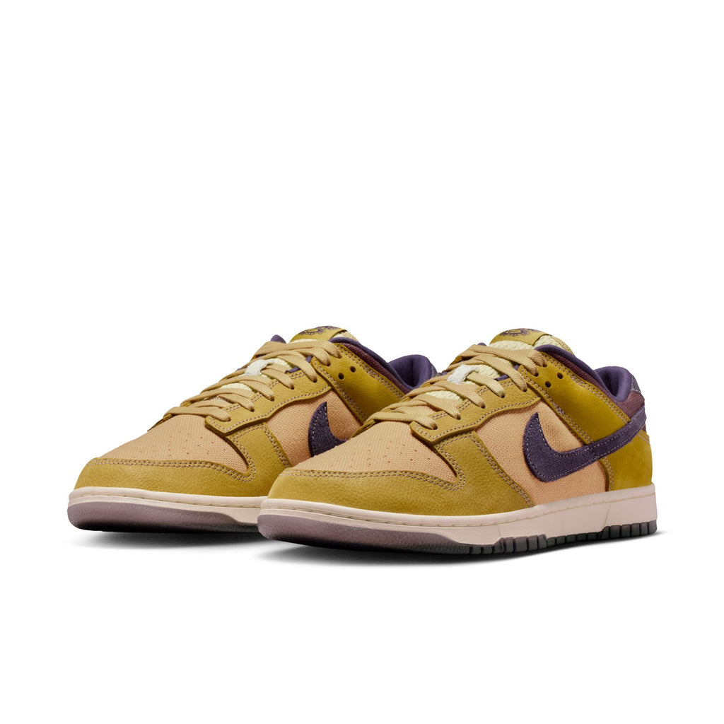 Nike Dunk Low Retro SE IB6752-700