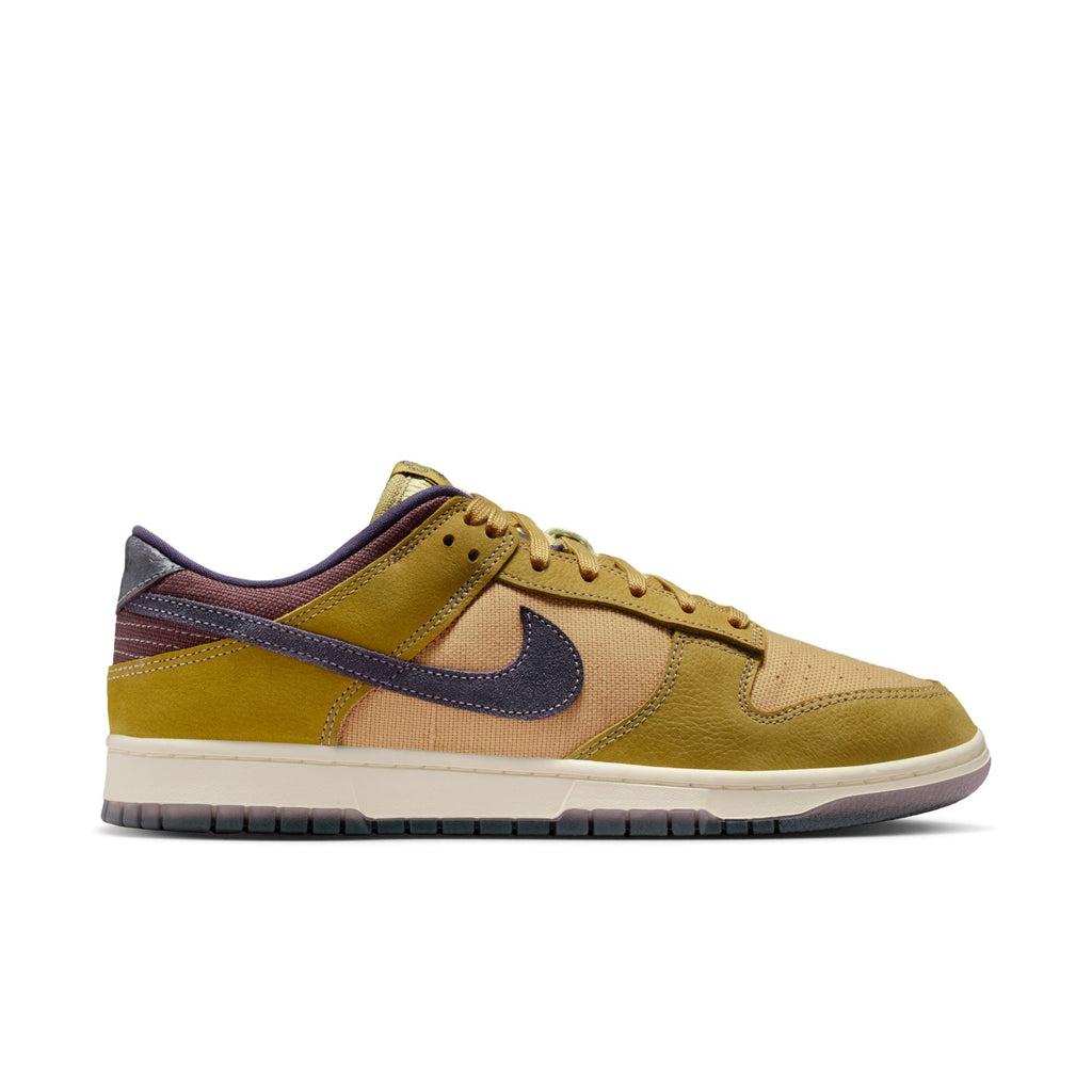 Nike Dunk Low Retro SE IB6752-700