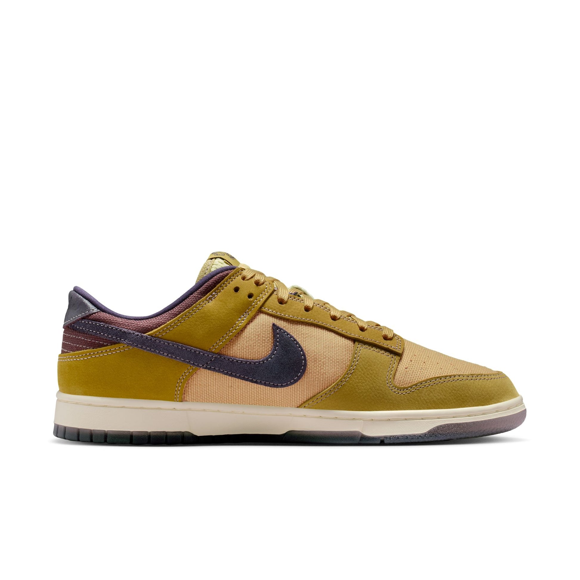 Nike Dunk Low Retro SE IB6752-700