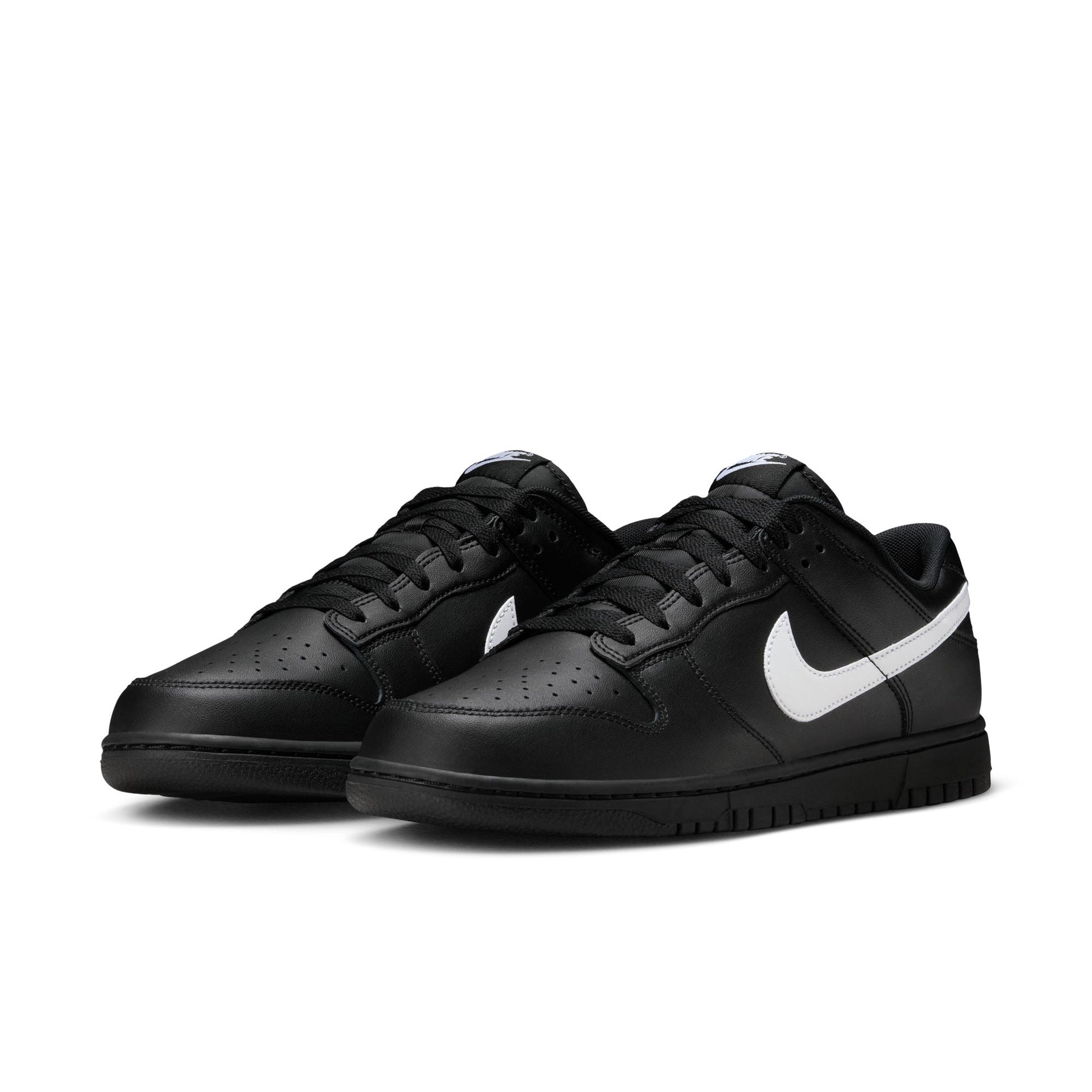 Nike Dunk Low Retro IO7606-010