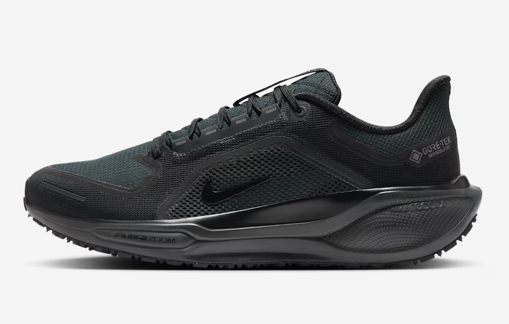 Men's Air Zoom Pegasus 41 GTX