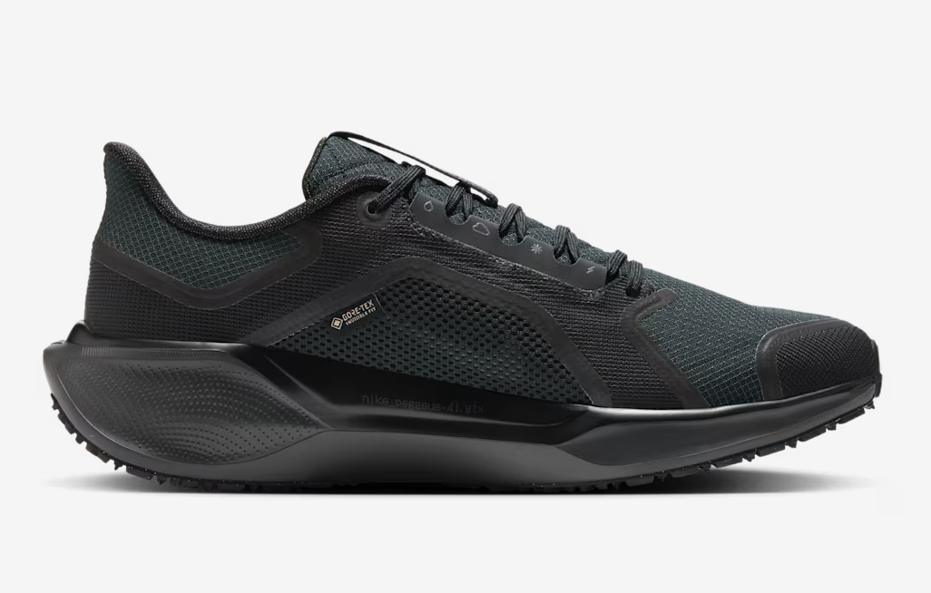 Men's Air Zoom Pegasus 41 GTX