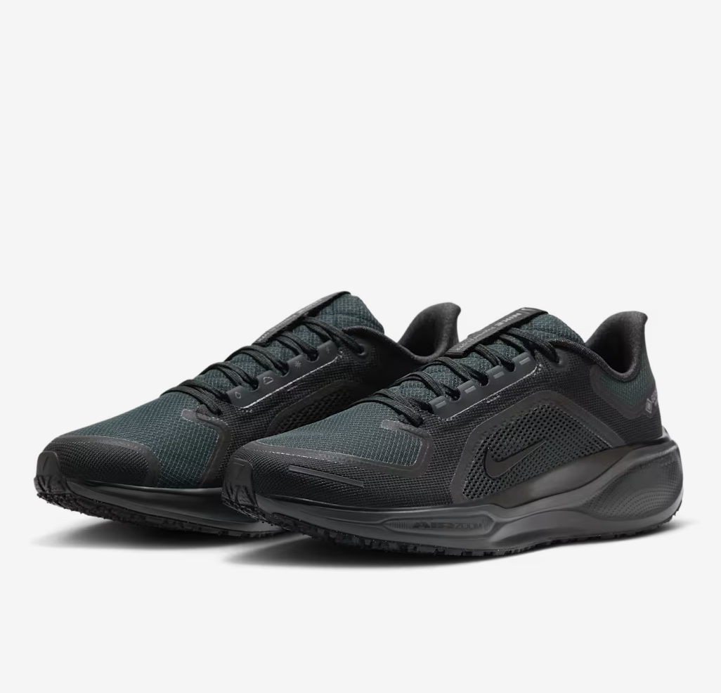Men's Air Zoom Pegasus 41 GTX