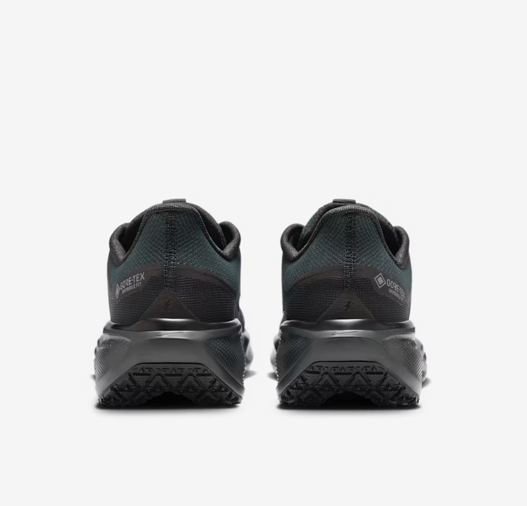 Men's Air Zoom Pegasus 41 GTX