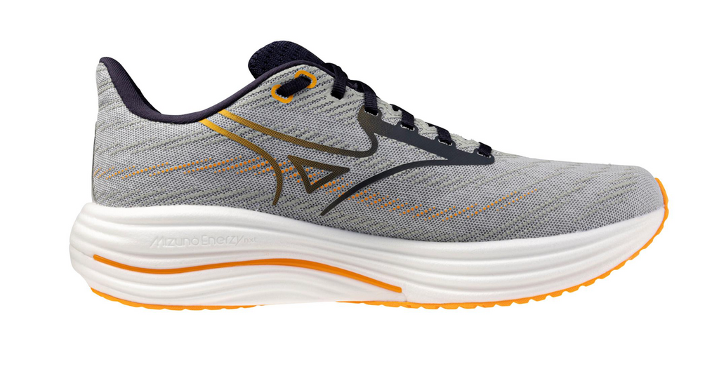 Men's Mizuno Wave Rider 29