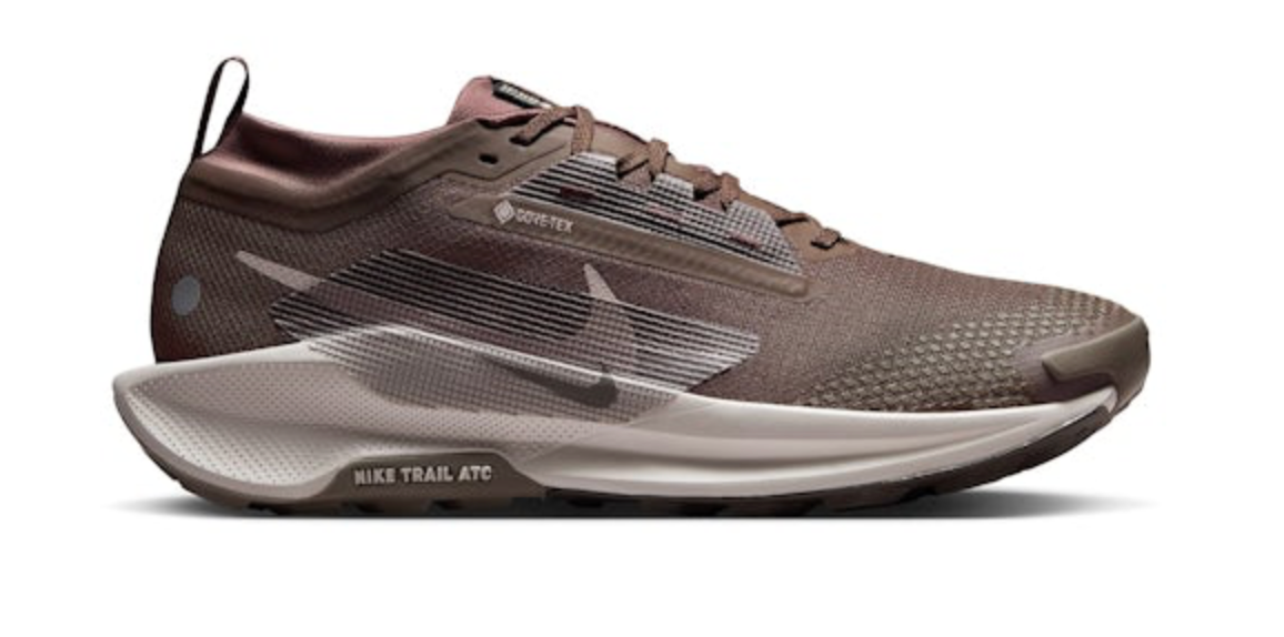Men's Nike Pegasus Trail 5 GTX