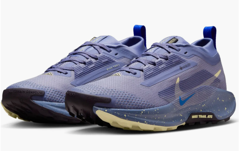 Women's Nike Pegasus Trail 5 GTX