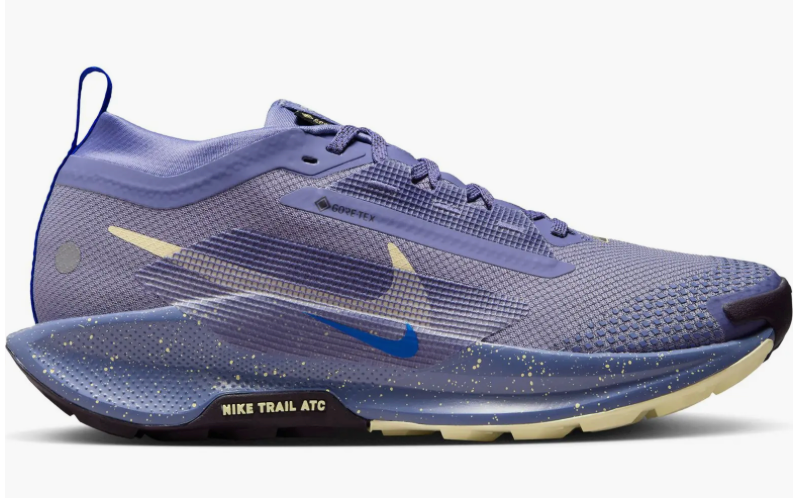 Women's Nike Pegasus Trail 5 GTX