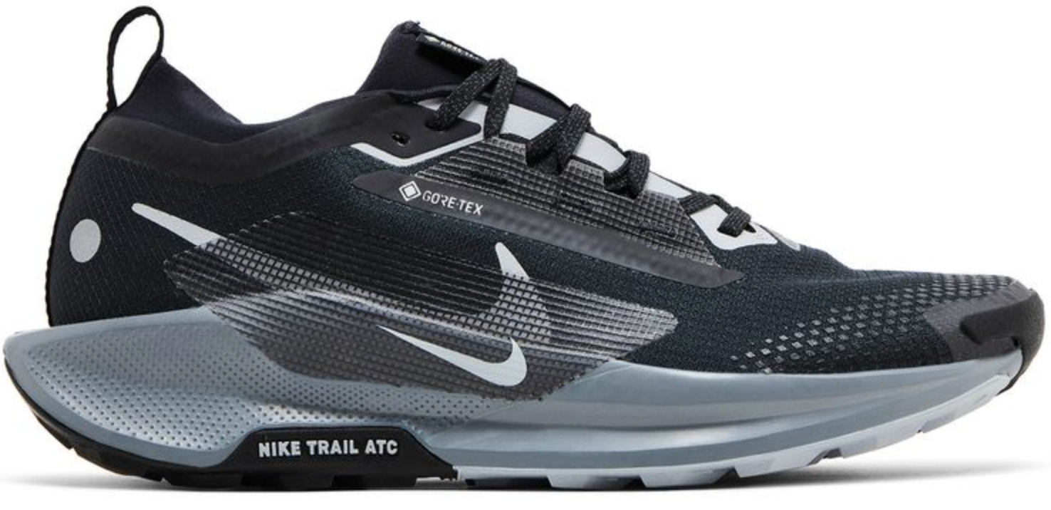 Women's Nike Pegasus Trail 5 GTX