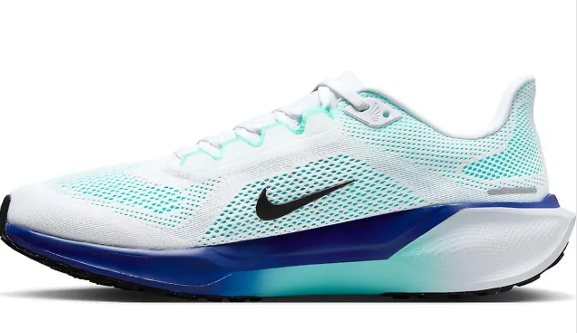 Men's Nike Air Zoom Pegasus 41
