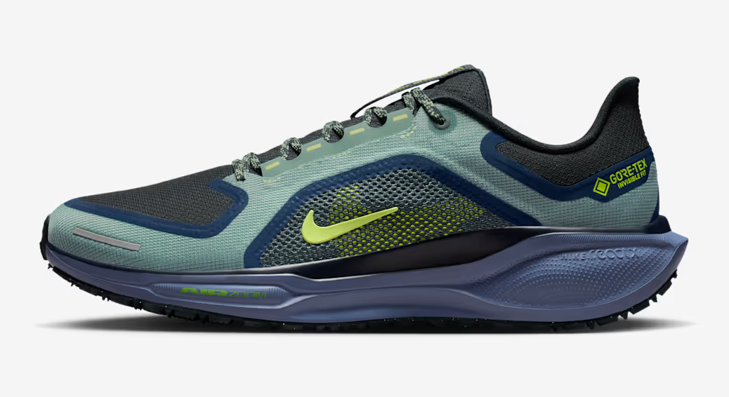 Men's Air Zoom Pegasus 41 GTX
